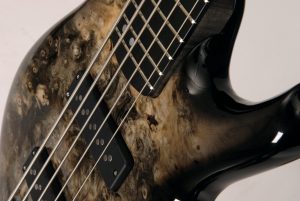 De Gier Origin 5 Buckeye Burst