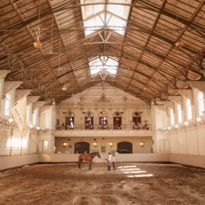 Hollandsche Manege najaar 2026