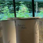 Ellen's beleving naar binnen