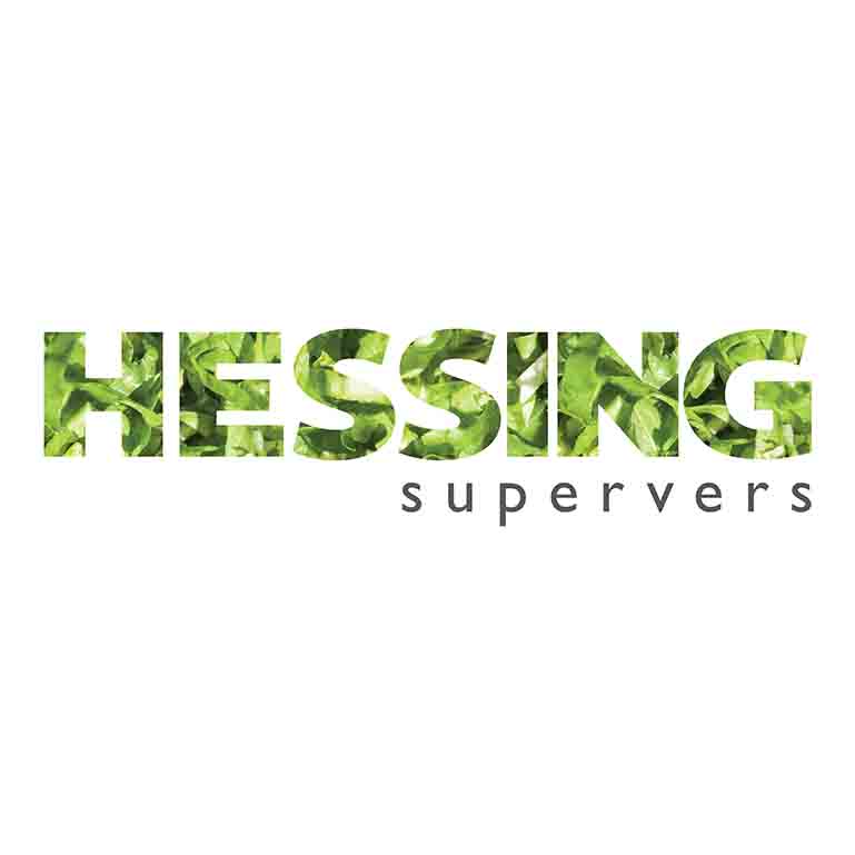 logo hessing 1
